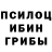 Псилоцибиновые грибы Psilocybe I__HARD__I