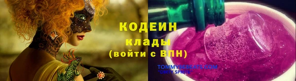 ГАЛЛЮЦИНОГЕННЫЕ ГРИБЫ Алексин