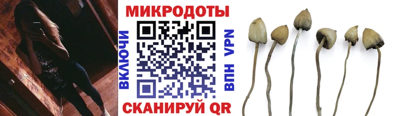 Галлюциногенные грибы Cubensis Когалым
